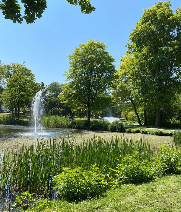 Grüne Parkanlage mit Springbrunnen