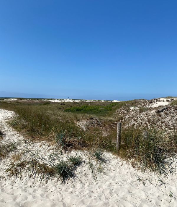 Strand von St. Peter Ording