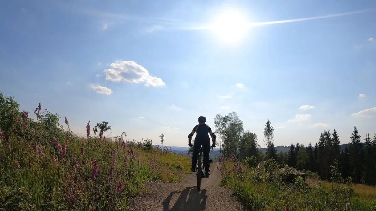 Mountainbike Fahrerin von hinten fährt über den Trail.