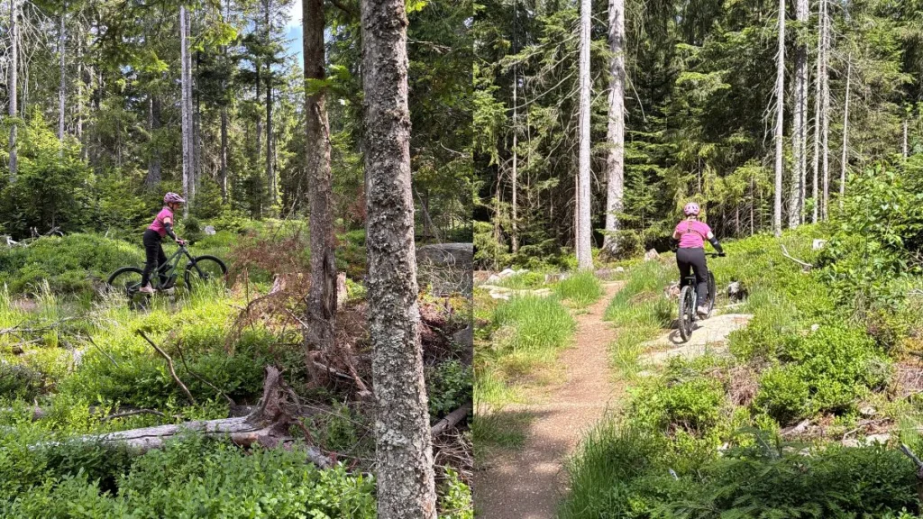 Vanessa fährt im Trailpark Bischofsmais auf dem Mooswald Trail