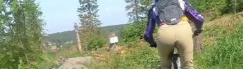 Bikeparks im Harz